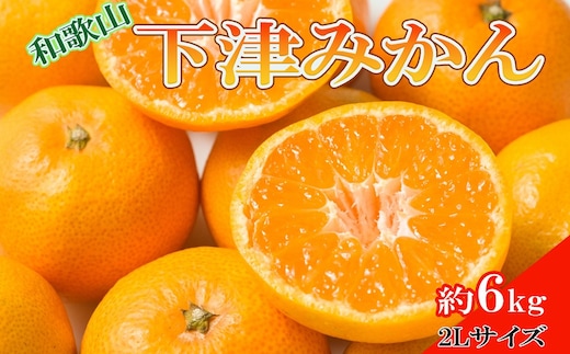［産直・秀品］和歌山下津みかん約6kg（2Lサイズ）★2026年11月中旬頃より順次発送［TM75］
