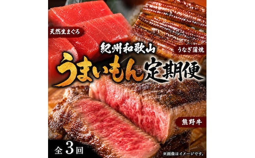 【定期便 全3回】紀州和歌山うまいもんセットA（生まぐろ・うなぎ蒲焼・熊野牛）【UT125】