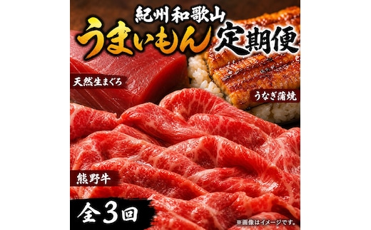 【定期便 全3回】紀州和歌山うまいもんセットB（生まぐろ・うなぎ蒲焼・熊野牛）【UT126】
