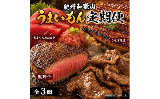【定期便 全3回】紀州和歌山うまいもんセットC（生まぐろ・うなぎ蒲焼・熊野牛）【UT127】