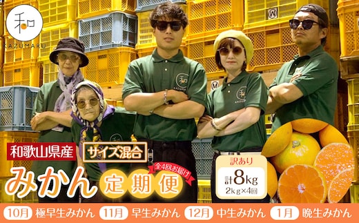 ［定期便］森本農園の手選別 訳ありみかん 約2kg サイズ混合 和歌山県産 ［北海道・沖縄・離島配送不可］［2026年10月～2027年1月まで全4回お届け］ ［RN165］