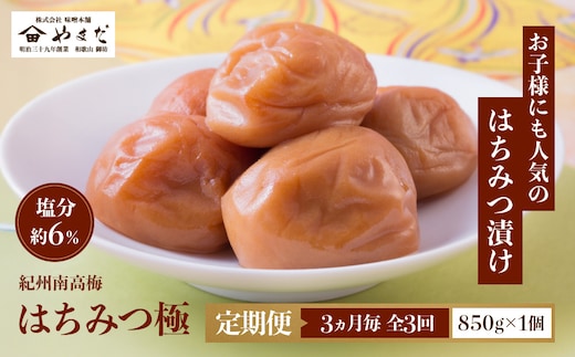 【定期便・3ヵ月毎 全3回】紀州南高梅 はちみつ極 850g ［YM10］