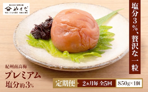 【定期便・2ヵ月毎 全5回】紀州南高梅 プレミアム 850g ［YM12］