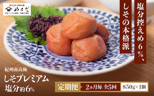 【定期便・2ヵ月毎 全5回】紀州南高梅 しそプレミアム 850g ［YM14］