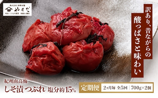 【定期便・2ヵ月毎 全5回】ご家庭用 紀州南高梅 しそ漬 つぶれ 700g×2 ［YM16］
