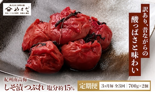 【定期便・3ヵ月毎 全3回】ご家庭用 紀州南高梅 しそ漬 つぶれ 700g×2 ［YM16］