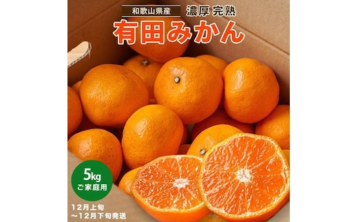 ［先行予約］ご家庭用 完熟 有田みかん 5kg［2026年12月発送予定］訳あり 農家直送［MS31-2］