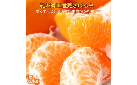 果肉ぷりぷり!完熟はるみ ５ｋｇ［2027年2月上旬頃～2027年2月下旬頃に順次発送］［UT22］