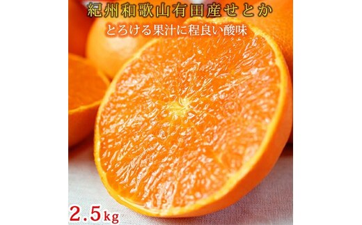 紀州有田産せとか約2.5kg とろける食感！ジューシー柑橘［2027年2月上旬～2月下旬頃に順次発送］［先行予約］［UT02］