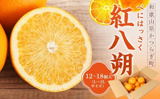 先行予約！希少な紅はっさく 12～18個入り（L～2Lサイズ）［2027年2月初旬頃から発送］［KG9］