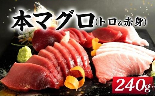 本マグロ（養殖）トロ＆赤身セット 240g［KS11］