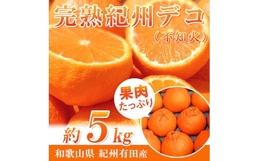 完熟紀州デコ(不知火) 約5kg 果肉プリプリ♪［2027年2月下旬以降発送］［先行予約］［UT43］