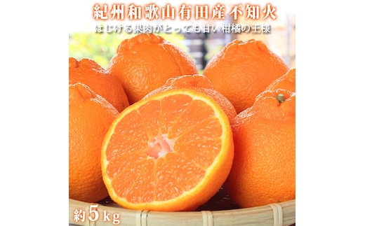 紀州有田産不知火(しらぬひ) 約５kg［2027年2月中旬以降発送］［先行予約］［UT40］