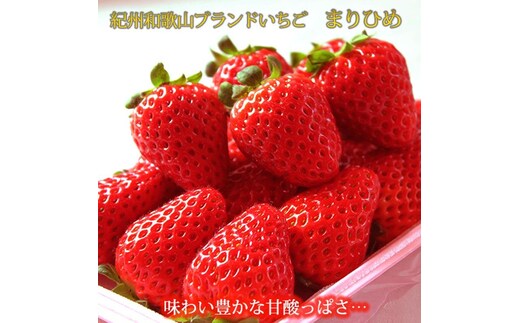 紀州和歌山ブランドいちご「まりひめ」約250g×4P ［2027年3月上旬頃～3月下旬頃に順次発送］［UT39］