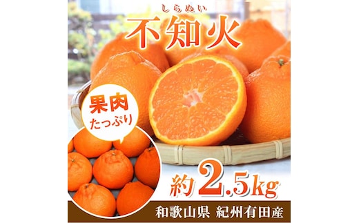 紀州有田産不知火(しらぬひ) 約２.５kg［2027年2月中旬以降発送］［先行予約］［UT61］
