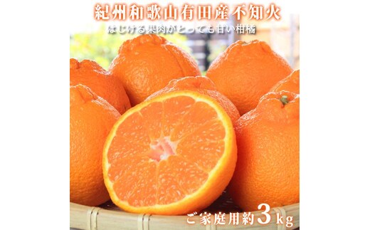 ［ご家庭用訳あり］紀州有田産不知火(しらぬひ) 約3kg［2027年2月中旬以降発送］［先行予約］［UT135］