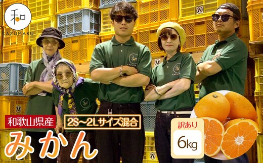 訳あり 森本農園の手選別 みかん 6kg 和歌山県産 2S~2Lサイズ混合 ［北海道・沖縄・離島配送不可］［RN9］［2026年11月上旬から順次発送］