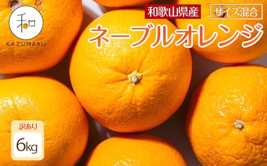 訳あり 森本農園の手選別ネーブルオレンジ 6kg 和歌山県産 サイズ混合 ［北海道・沖縄・離島配送不可］［RN19］［2027年1月上旬から順次発送］