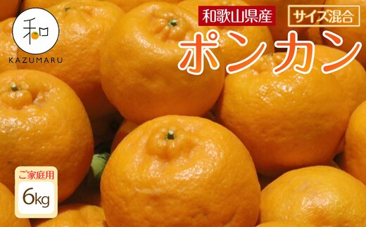 家庭用 森本農園の手選別 ポンカン 6kg 和歌山県産 サイズ混合 ［北海道・沖縄・離島配送不可］［RN32］［2027年1月中旬から順次発送］