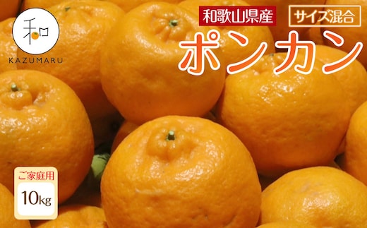 家庭用 森本農園の手選別 ポンカン 10kg 和歌山県産 サイズ混合 ［北海道・沖縄・離島配送不可］［RN33］［2027年1月中旬から順次発送］