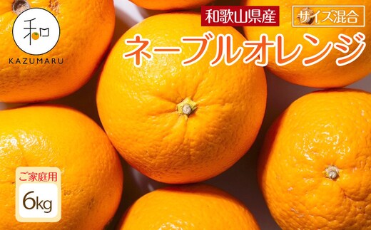 家庭用 森本農園の手選別ネーブルオレンジ 6kg 和歌山県産 サイズ混合 ［北海道・沖縄・離島配送不可］［RN34］［2027年1月上旬から順次発送］