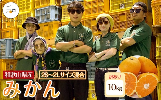 訳あり 森本農園の手選別 みかん 約10kg 和歌山県産 2S~2Lサイズ混合 ［北海道・沖縄・離島配送不可］［RN43］［2026年11月上旬から順次発送］