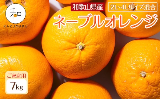 家庭用 森本農園の手選別 大玉ネーブルオレンジ 約7kg 和歌山県産 2L~4Lサイズ混合 ［北海道・沖縄・離島配送不可］［2027年1月上旬から順次発送］［RN106］