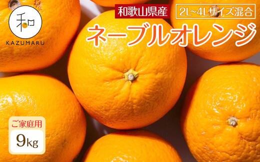 家庭用 森本農園の手選別 大玉ネーブルオレンジ 約9kg 和歌山県産 2L~4Lサイズ混合 ［北海道・沖縄・離島配送不可］［2027年1月上旬から順次発送］［RN107］