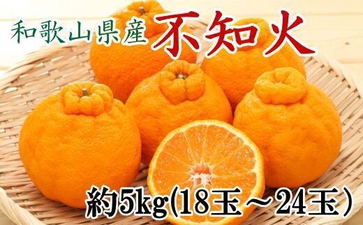 和歌山県産不知火約5kg（18玉～24玉おまかせ）L～3Lサイズ★2027年2月下旬頃より順次発送［TM159］