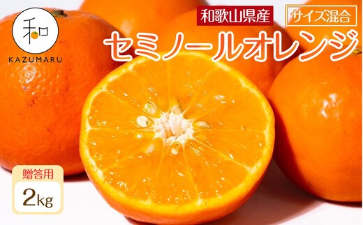 贈答用 森本農園の手選別 厳選セミノールオレンジ 約2kg 和歌山県産 サイズ混合 ［北海道・沖縄・離島配送不可］［2026年4月中旬から順次発送］［RN110］