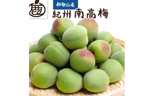 厳選 紀州南高梅(青梅)1kg+250g（傷み補償分）【梅干し・梅酒・梅ジュース】［IKE216］