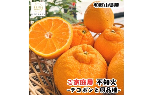 ［先行予約］有田育ちの濃厚 不知火（訳あり 家庭用）5kg［MS41］