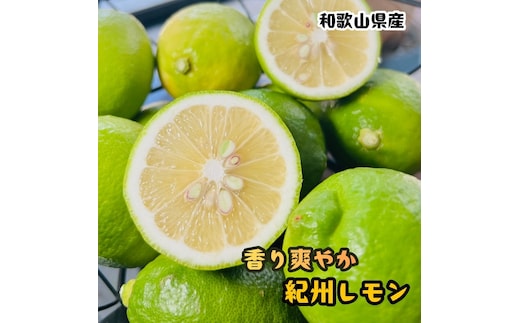 農家直送 紀州 レモン 約3kg［MS122］
