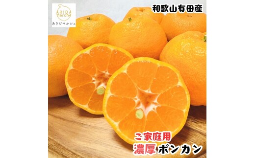 ［先行予約］極甘 柑橘 有田育ちの 濃厚 ポンカン（家庭用）5kg［MS45］