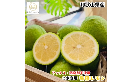 ［先行予約］紀州和歌山 ご家庭用 有田 レモン 3kg［MS70］