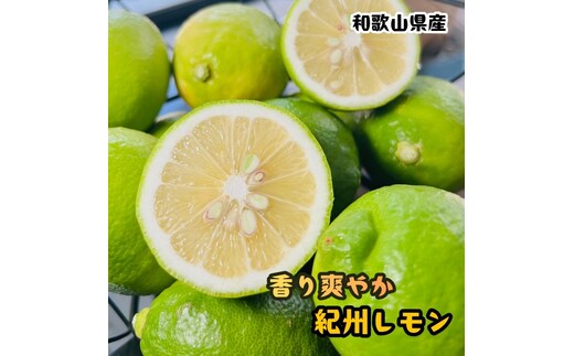 農家直送 紀州 レモン 約2kg［MS94］