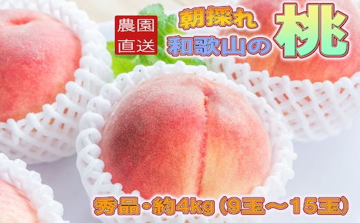［農園直送］朝採れ和歌山の桃 約4kg・秀品★2026年6月下旬～8月中旬頃順次発送★［TM168］