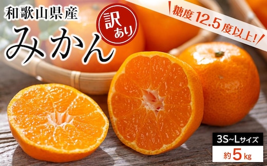 和歌山県産 糖度 12.5度以上 訳あり みかん 5kg 3S ～ Lサイズ混合［MG57］