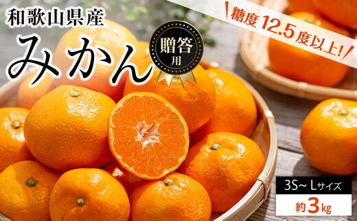 和歌山県産 糖度 12.5度以上 秀品 贈答用 みかん 3kg 3S ～ Lサイズ混合［MG54］