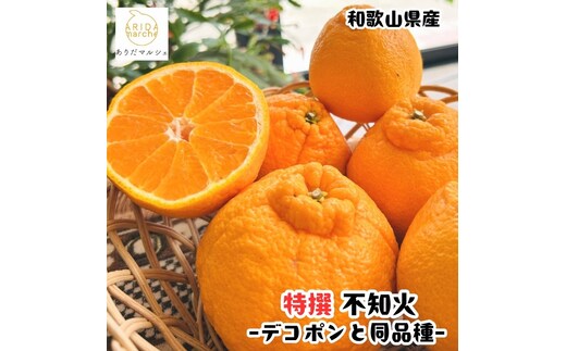 ［先行予約］特選 濃厚 不知火 2.5kg ［MS142］