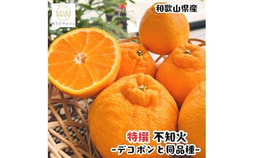 ［先行予約］特選 濃厚 不知火 5kg ［MS143］