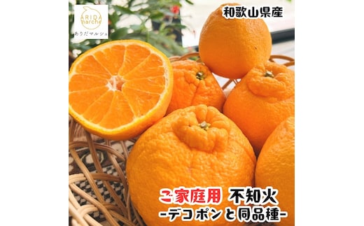 ［先行予約］有田育ちの濃厚 不知火 訳あり 家庭用 1kg ［MS144］