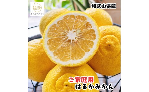 ［先行予約］［人気柑橘］ 有田育ちの はるか みかん（訳あり 家庭用）7.5kg ［MS148］