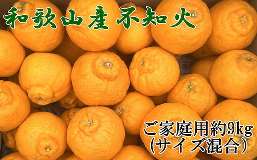 「農園直送」和歌山県産不知火 もりもりの約9kg（サイズ混合 ご家庭用）★2027年2月下旬頃より順次発送 ［TM258］