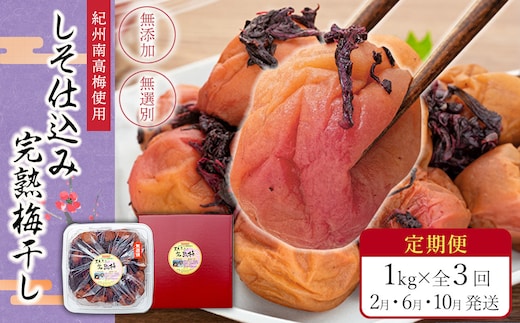 【定期便（2月・6月・10月）全3回お届け】 紀州南高梅使用 しそ仕込み完熟梅干し 無選別1kg ［TM214］