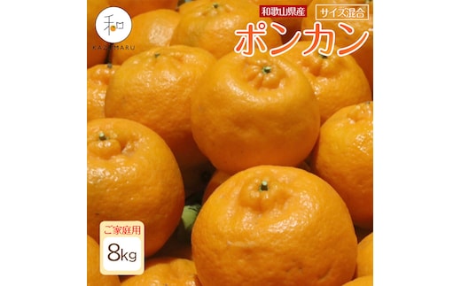 家庭用 森本農園の手選別 ポンカン 約8kg 和歌山県産 サイズ混合 ［北海道・沖縄・離島配送不可］［2027年1月中旬から順次発送］［RN44］