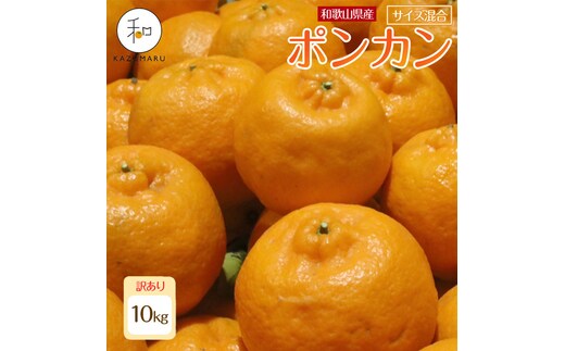 訳あり 森本農園の手選別 ポンカン 約10kg 和歌山県産 サイズ混合 ［北海道・沖縄・離島配送不可］［2027年1月中旬から順次発送］［RN45］