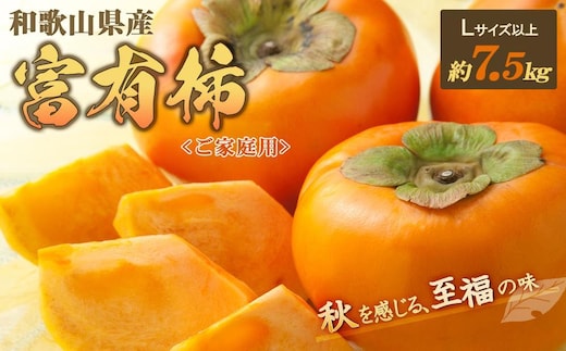 ◆先行予約◆和歌山県産 富有柿＜ご家庭用＞約7.5kg 満杯詰め［2026年11月上旬以降発送］［九度山町産］［MG2］