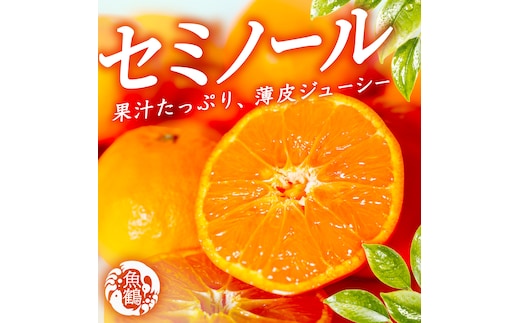 ［先行予約］ジューシー柑橘 セミノールオレンジ 5kg［UT149］