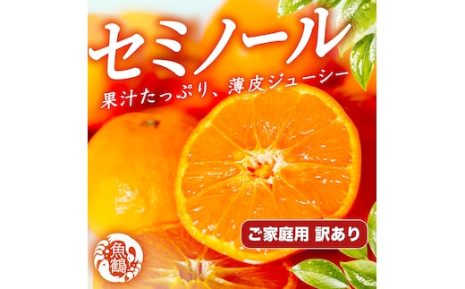 ［先行予約］［ご家庭用訳あり］ジューシー柑橘 セミノールオレンジ 5kg［UT150］